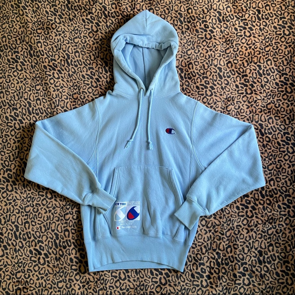 Champion reverse weave hoodie
